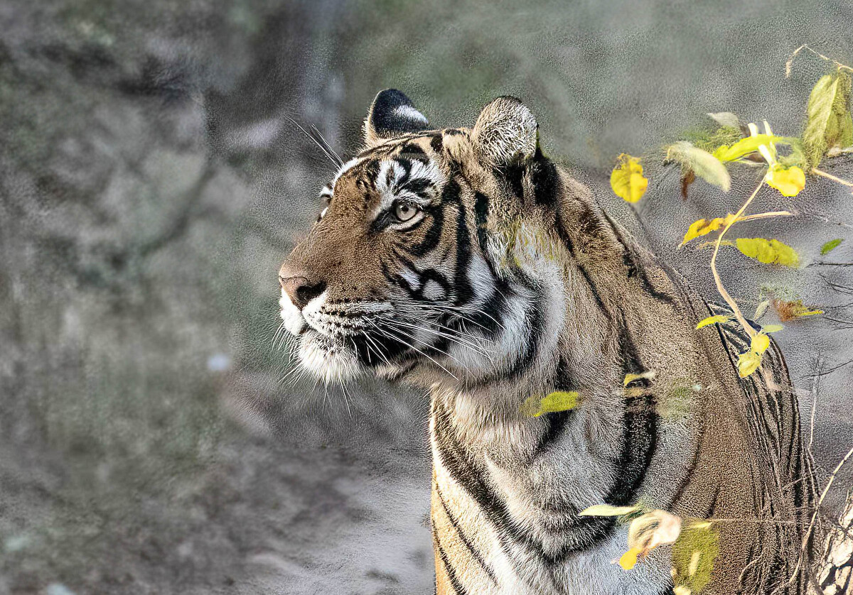 Critters Big and Small